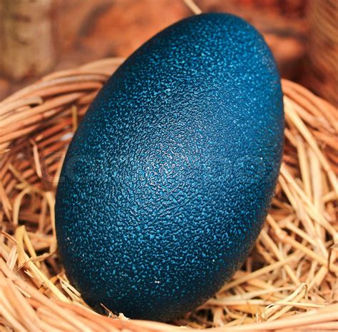 ovo de emu - lenguajes de amor